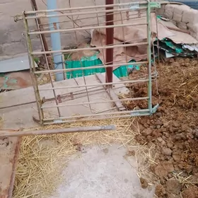 Bagaz kıçı masyna