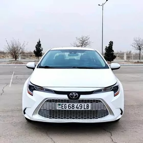 Toyota Corolla 2021