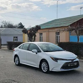 Toyota Corolla 2020