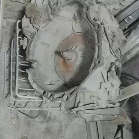 2 лик каропка опил афтамат