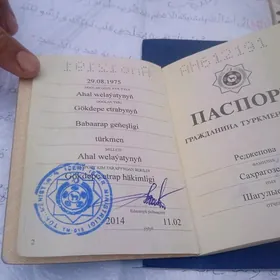 tapylan pasport dokumentler