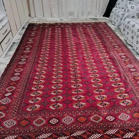 El HALI  FABRIK HALI ALYAN