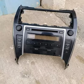 Palta magnitadon, moldink