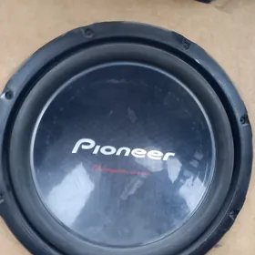 pioneer