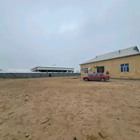  Satlyk Howly jaý Dmitr 