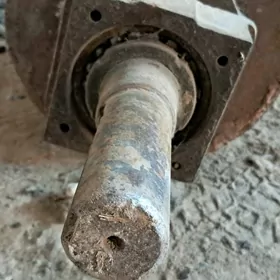 relis pasiwnikli katok 40 kg