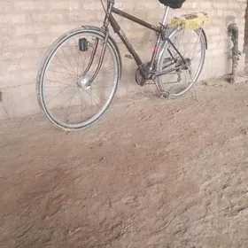 велиик 27лик