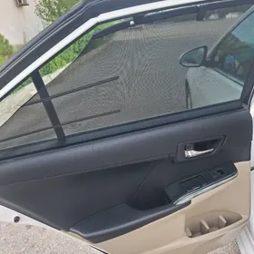 Camry gapy setka arginal