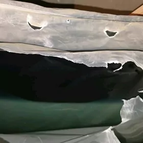 Kia Karnaval forteckalar