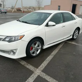 Toyota Camry 2013