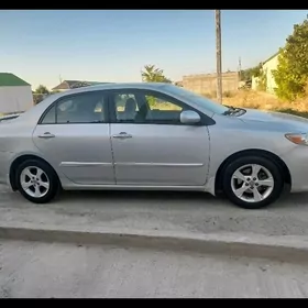 Exclusive corolla diska obmen