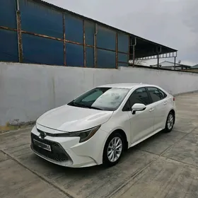 Toyota Corolla 2020