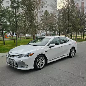 Toyota Camry 2020