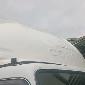 Kazyryok Kanter Gazel