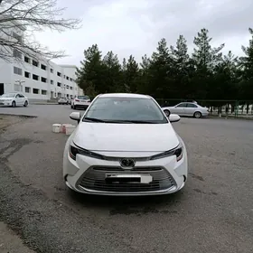 Toyota Corolla 2024