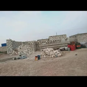 Örümçi ussa gerek