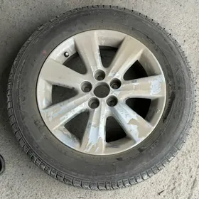 haliji diska arginal