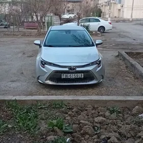Toyota Corolla 2021