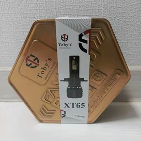 Led cyra Toby's XT65