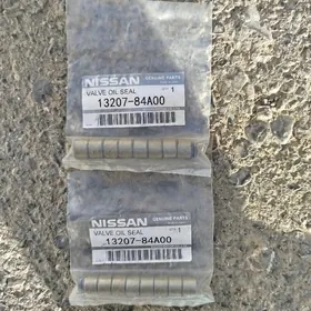 klapyn salnik nissan