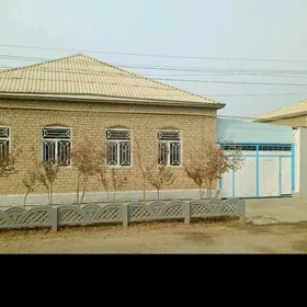 satlyk howly plan jay