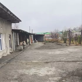 Satlyk plan jay Bagyr Gyssag