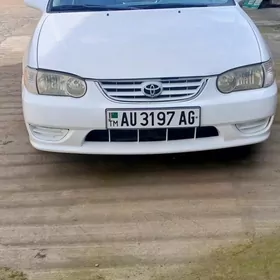 Toyota Corolla 2001