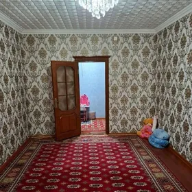 Satlyk mir 1 3komnat