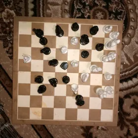 Шашки, шахматы , лото.