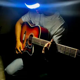 GITARA FENLIN ELEKTRO KOMPLEKT