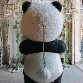 mişka panda