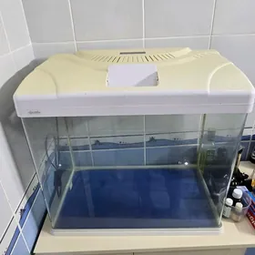 Аквариум для рыб