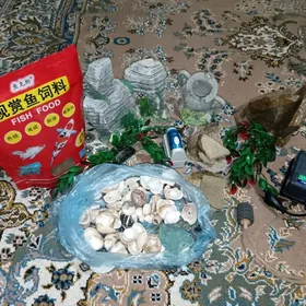 Akwariyum dekor+kislarod