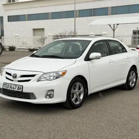Toyota Corolla 2008