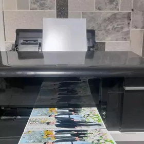 Printer epson  L 805