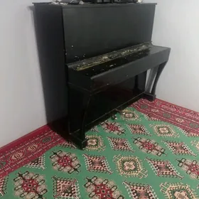 pianino