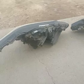 Leksus 2018-2019 fara kompleki