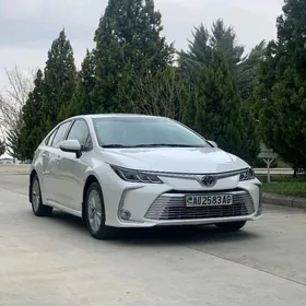 Toyota Corolla 2021