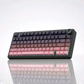 AULA F75 механика