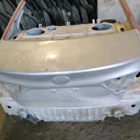 Gylyç kemri yzky morda