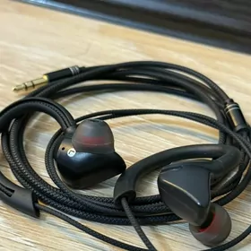 Nausnik manitor bagsylar ucin