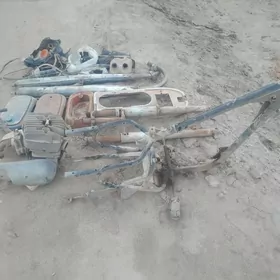 Fekon wasgot diwitil