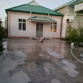 Satlyk plan jay Howly Coganly