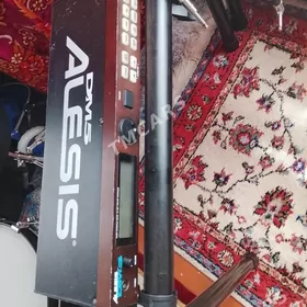 Alesis dm5