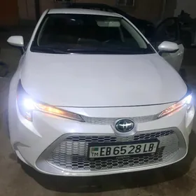 Toyota Corolla 2020