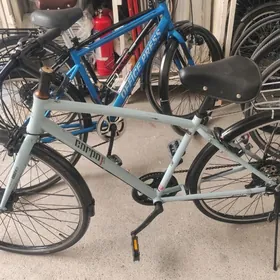 Tigir Ýapoşga welik