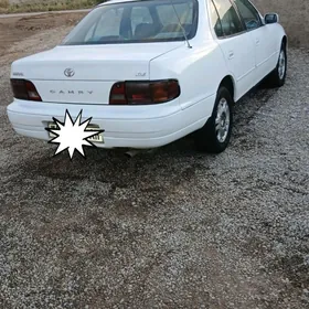 Toyota Camry 1993