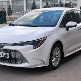 Toyota Corolla 2021