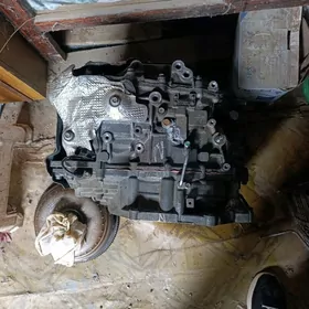 20 elantran karopgasy waryator