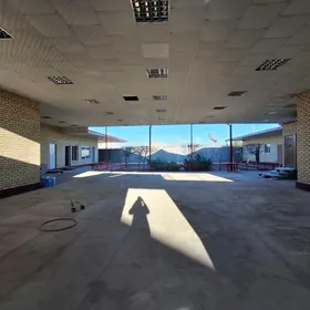 SATLYK HOWLY MES ŞAPAKDA